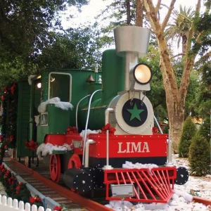 Christmas in the Park Train